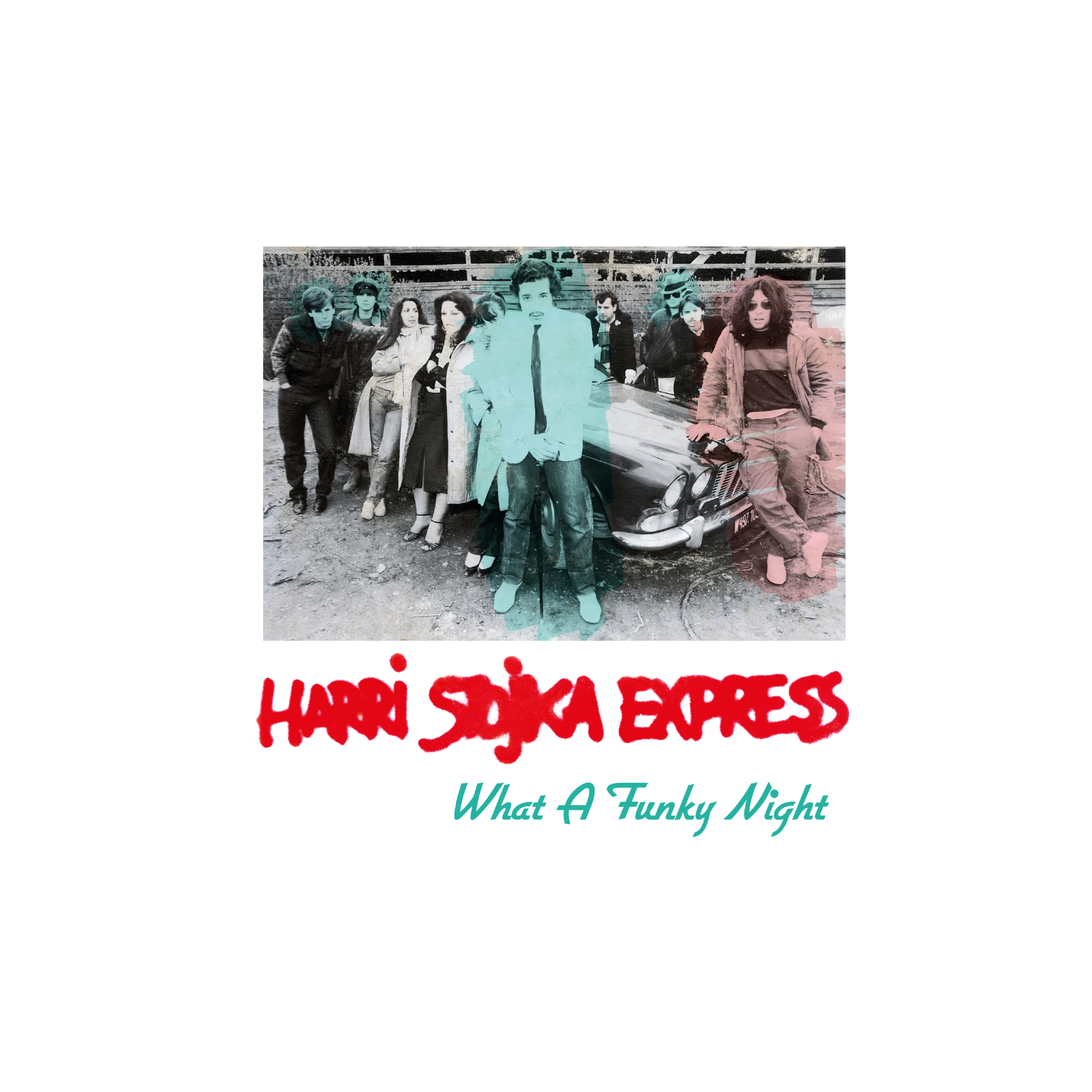 HARRI STOJKA EXPRESS - WHAT A FUNKY NIGHT 12" (FUNKSCAPES)