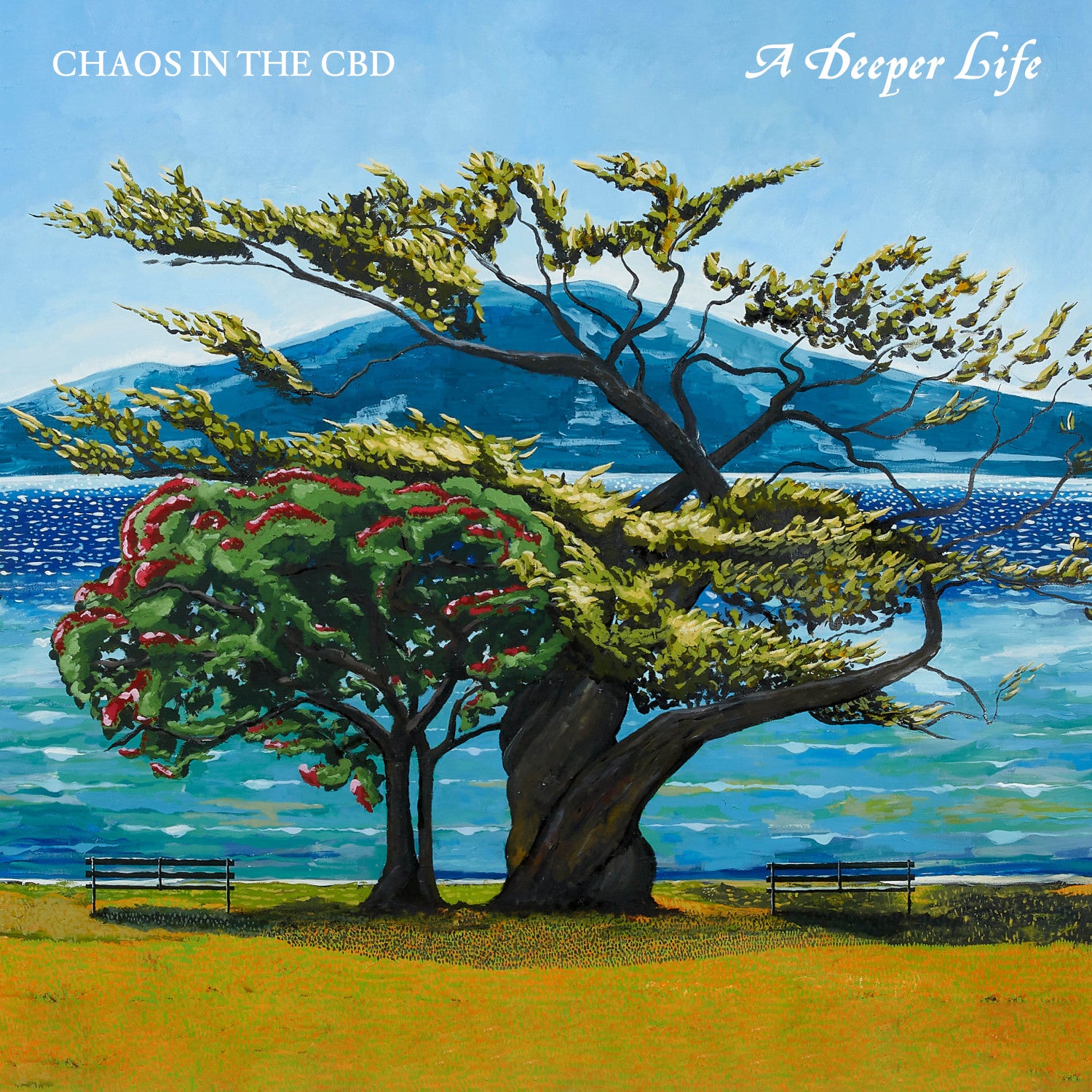 CHAOS IN THE CBD -A DEEPER LIFE 2LP (IN DUST WE TRUST)