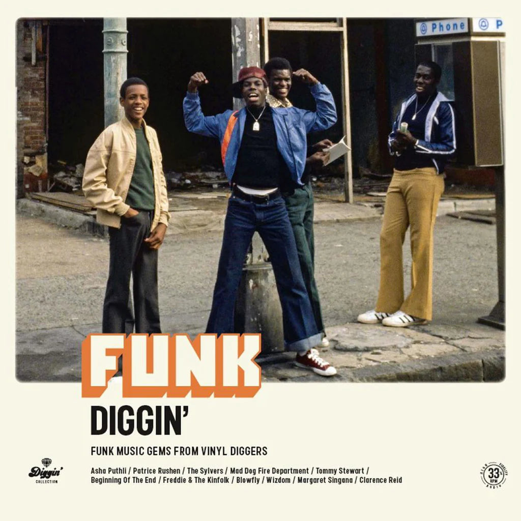 Various Artists - Funk Diggin'  LP (WAGRAM MUSIC)