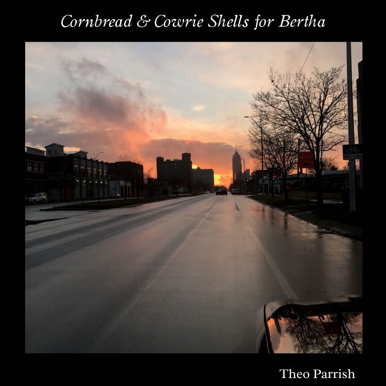 Theo Parrish - Cornbread & Cowrie Shells For Bertha 2LP (SOUND SIGNATURE)