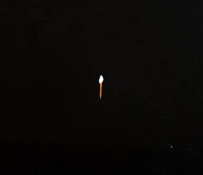 SAULT - CHAPTER 1 LP (FOREVER LIVING ORIGINALS)