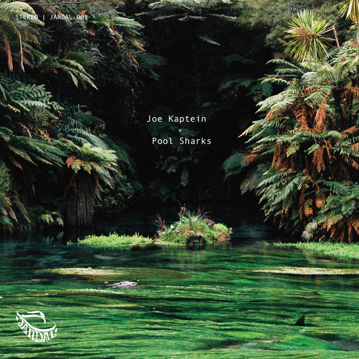 Joe Kaptein - Pool Sharks LP (JANDAL RECORDS)
