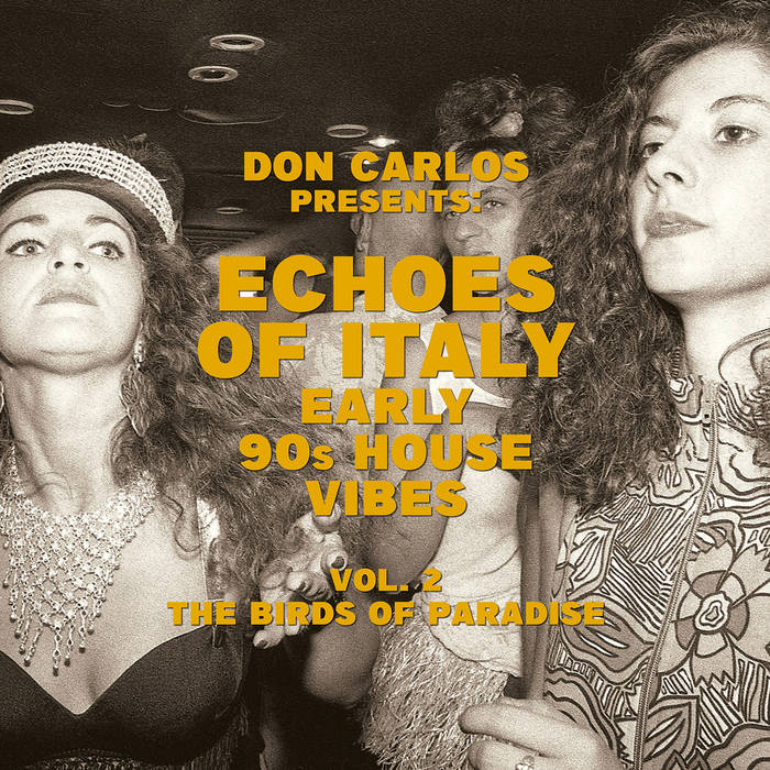 V/A - COMPILED BY DON CARLOS -	ECHOES OF ITALY – THE BIRDS OF PARADISE – EARLY 90S HOUSE VIBES VOL.2 2LP (JUNGLE FANTASY)