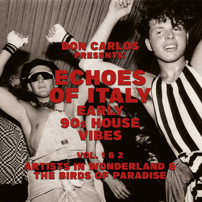 V/A - COMPILED BY DON CARLOS -	ECHOES OF ITALY – THE BIRDS OF PARADISE – EARLY 90S HOUSE VIBES VOL.1 2LP (JUNGLE FANTASY)