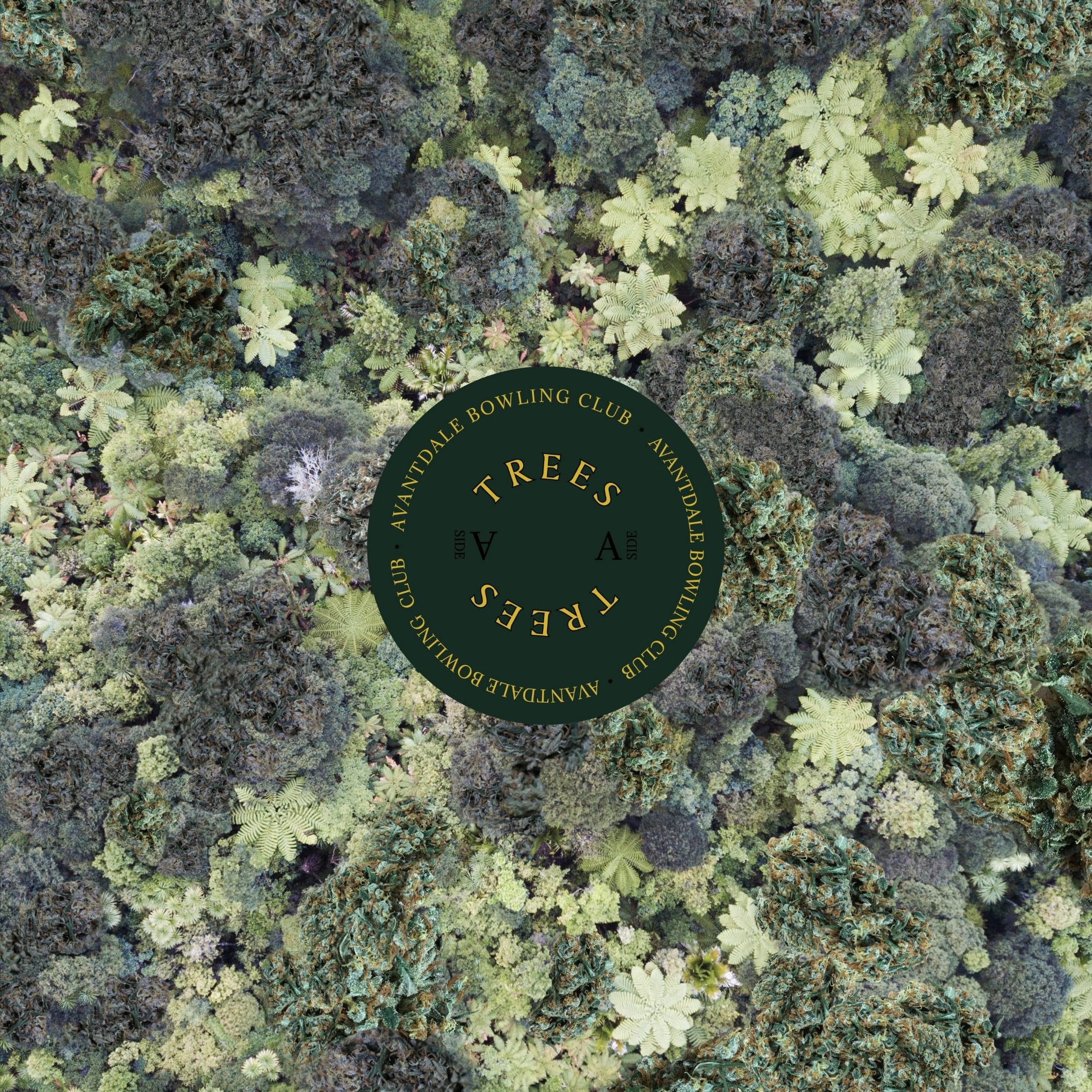 Avantdale Bowling Club - Trees LP (YEARS GONE BY)