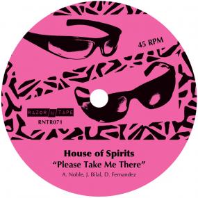 TOM NOBLE PRESENTS: HOUSE OF SPIRITS - PLEASE TAKE ME THERE 12" (RAZOR 'N TAPE)