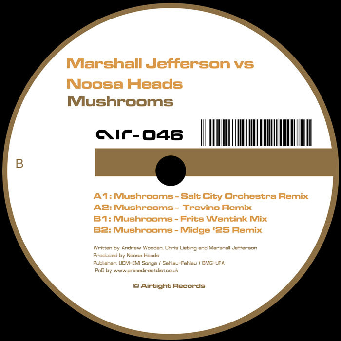 Marshall Jefferson Vs. Noosa Heads - Mushrooms 12" (AIRTIGHT)