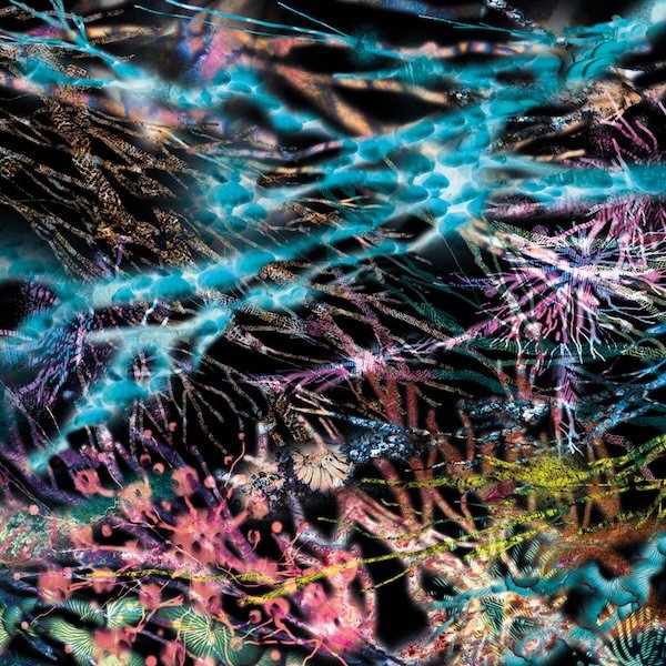 LCSM (Likwid Continutal Space Motion) - The Remedy 3LP (SUPER-SONIC JAZZ)