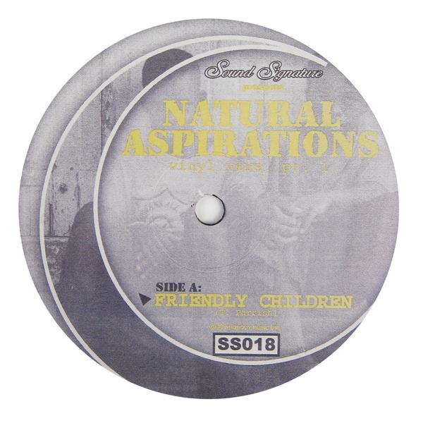 Theo Parrish - Natural Aspirations EP 12" (SOUND SIGNATURE)